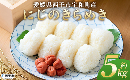 ＜にじのきらめき 約5kg＞ 5キロ ニジノキラメキ 米 お米 コメ こめ 白米 精米 ご飯 ライス 大粒 穀物 西予応援米 特産品 愛媛県産 西予市産 宇和町産 前田農園 愛媛県 西予市 【常温】『2025年10月から12月迄に順次出荷予定』UMU0001