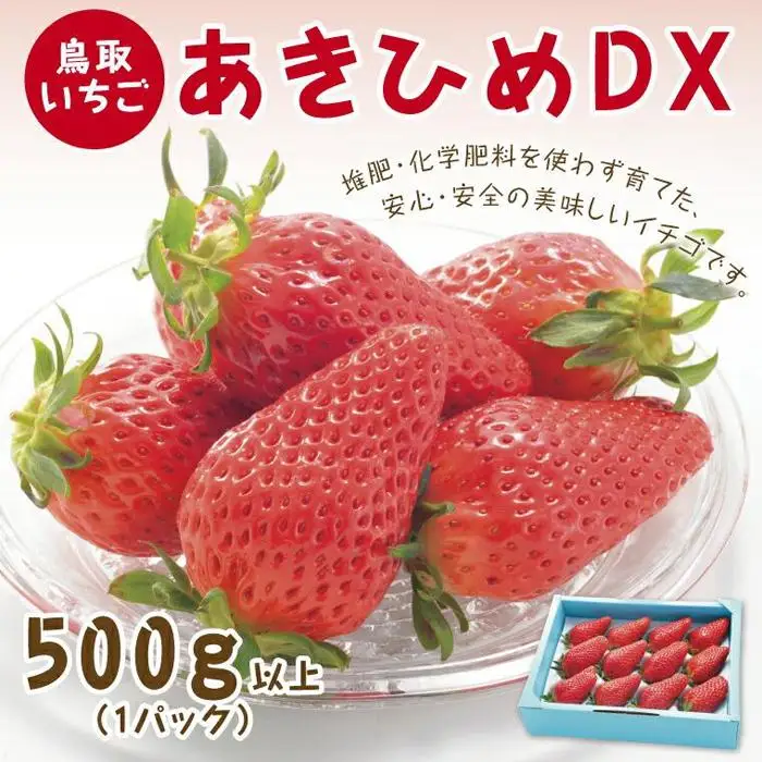 あきひめDX 500g 鳥取いちご【とみハウス】