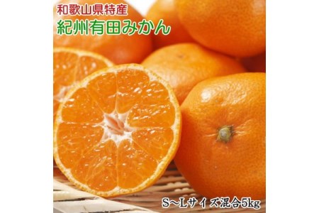 [秀品]和歌山有田みかん約5kg(S～Lサイズ混合) ※2025年11月中旬～2026年1月中旬頃に順次発送予定