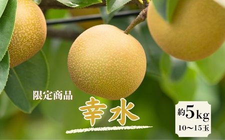 梨（幸水）　約5㎏　15-013
