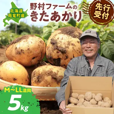 北海道産 じゃがいも きたあかり 5kg きたあかり 芋