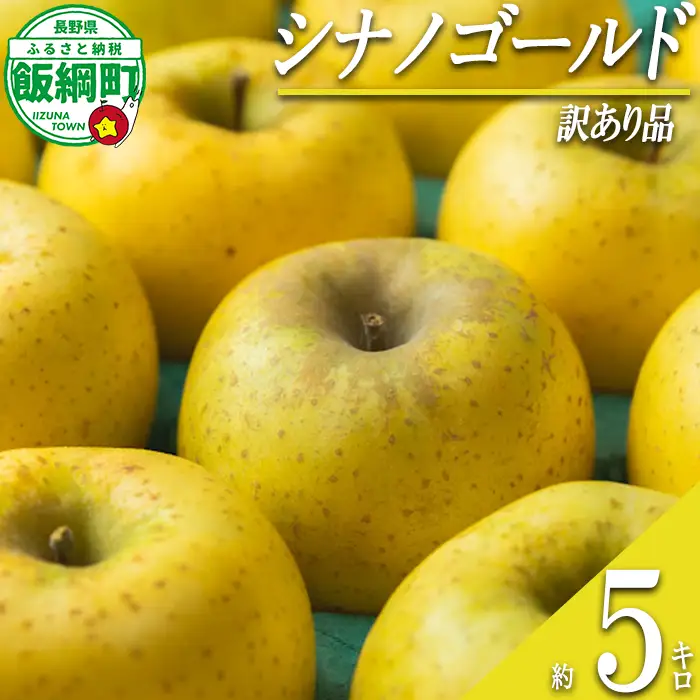 【 甘酸っぱい / シナノゴールド 】 りんご シナノゴールド 訳あり 5kg 2026年11月上旬頃から2026年12月上旬頃まで順次発送予定 ふるさと振興公社 リンゴ 林檎 長野県 飯綱町 [2022]