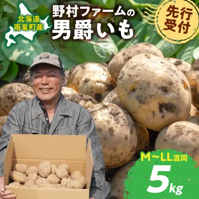 北海道産 じゃがいも 男爵 5kg  ジャガイモ 男爵 芋