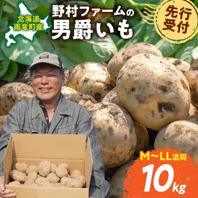 北海道産 じゃがいも 男爵 10kg  じゃがいも 男爵芋