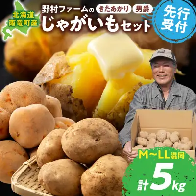 北海道産 じゃがいもセット 「きたあかり・男爵」 5kg  食べ比べ じゃがいも