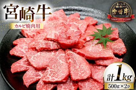 牛肉 宮崎牛 カルビ 焼肉用 500g 2p 計 1kg