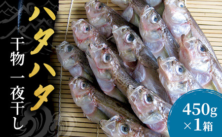 ハタハタ（特々大）干物 一夜干し 450g ×1箱【配送不可：離島】 魚貝類 myz02 myz11 myz17