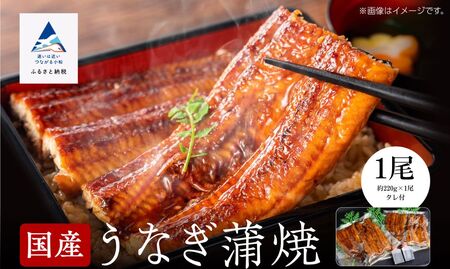 国産うなぎ蒲焼 約200g×1尾 鰻 鰻 鰻 鰻 鰻