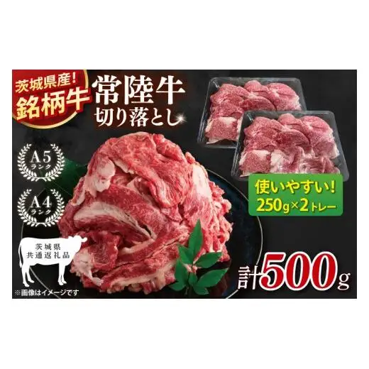 【茨城県共通返礼品】常陸牛切り落とし 500g【使いやすい 小分け 250g×2 銘柄牛 牛肉 冷凍 たんぱく質 ビタミン 茨城県産】(81-15)