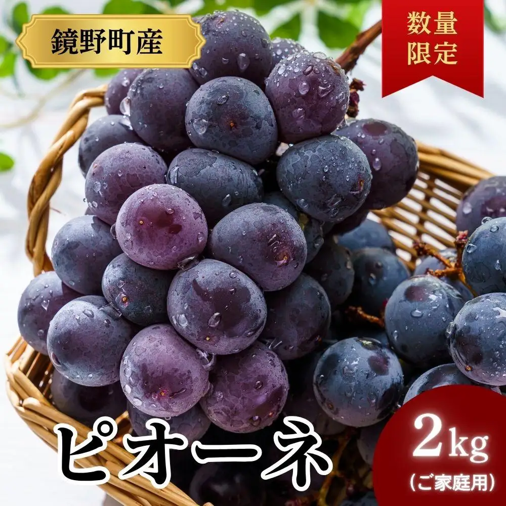 【期間限定】鏡野町産 ピオーネ 2kg（ご家庭用）【004-a029】
