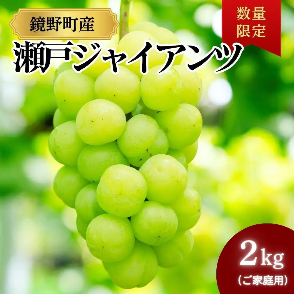 【期間限定】鏡野町産 瀬戸ジャイアンツ 2kg（ご家庭用）【004-a028】
