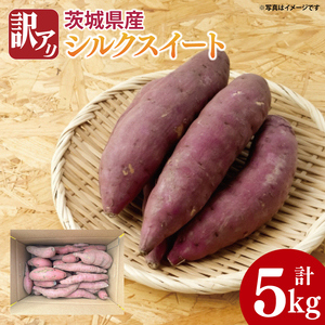 【先行予約】【10月中旬以降より順次発送】訳アリ 茨城県産シルクスイート 約5kg｜さつまいも 芋 サツマイモ シルクスイート 訳あり わけあり 茨城県 取手市（AS009）