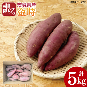【先行予約】【10月中旬以降より順次発送】訳アリ 茨城県産金時 約5kg｜さつまいも 芋 サツマイモ 金時 訳あり わけあり 茨城県 取手市（AS010-1）