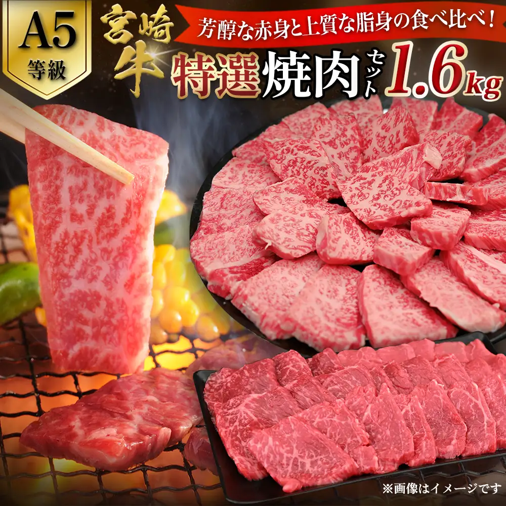 【A5等級】宮崎牛 特選焼肉セット 計1.6kg（赤身・霜降り） 宮崎牛 ブランド牛 和牛 牛肉 焼肉 特選和牛 霜降り A5 宮崎県 小林市