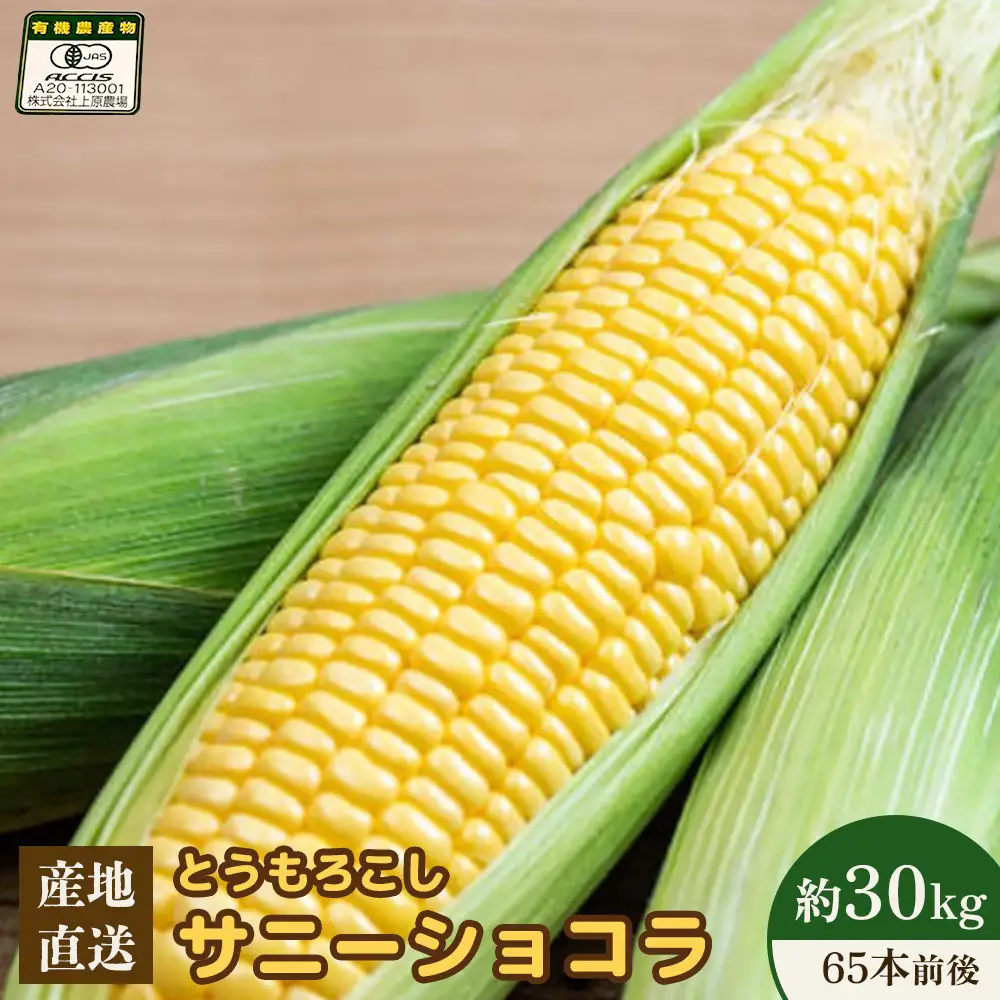 【2026年度発送分】上原農場直送 有機栽培とうもろこし (サニーショコラ) 約30kg 約65本前後【6602101】
