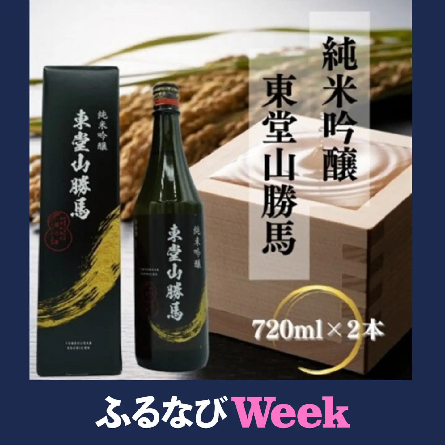 【ふるなびWEEK対象】純米吟醸　東堂山勝馬　2本セット【1597420】