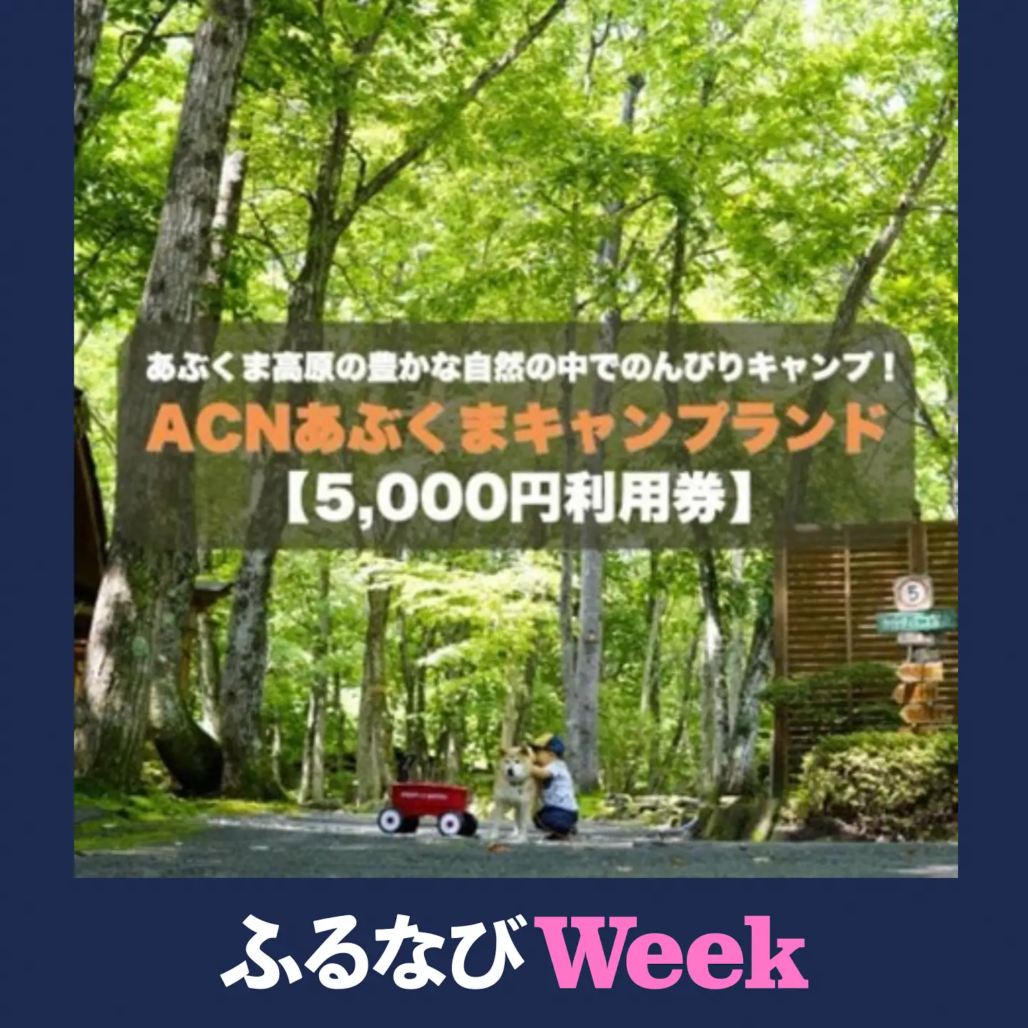 【ふるなびWEEK対象】【応援キャンプ!】福島県オートキャンプ場　あぶくまキャンプランド　宿泊利用券(5,000円分)【1621104】