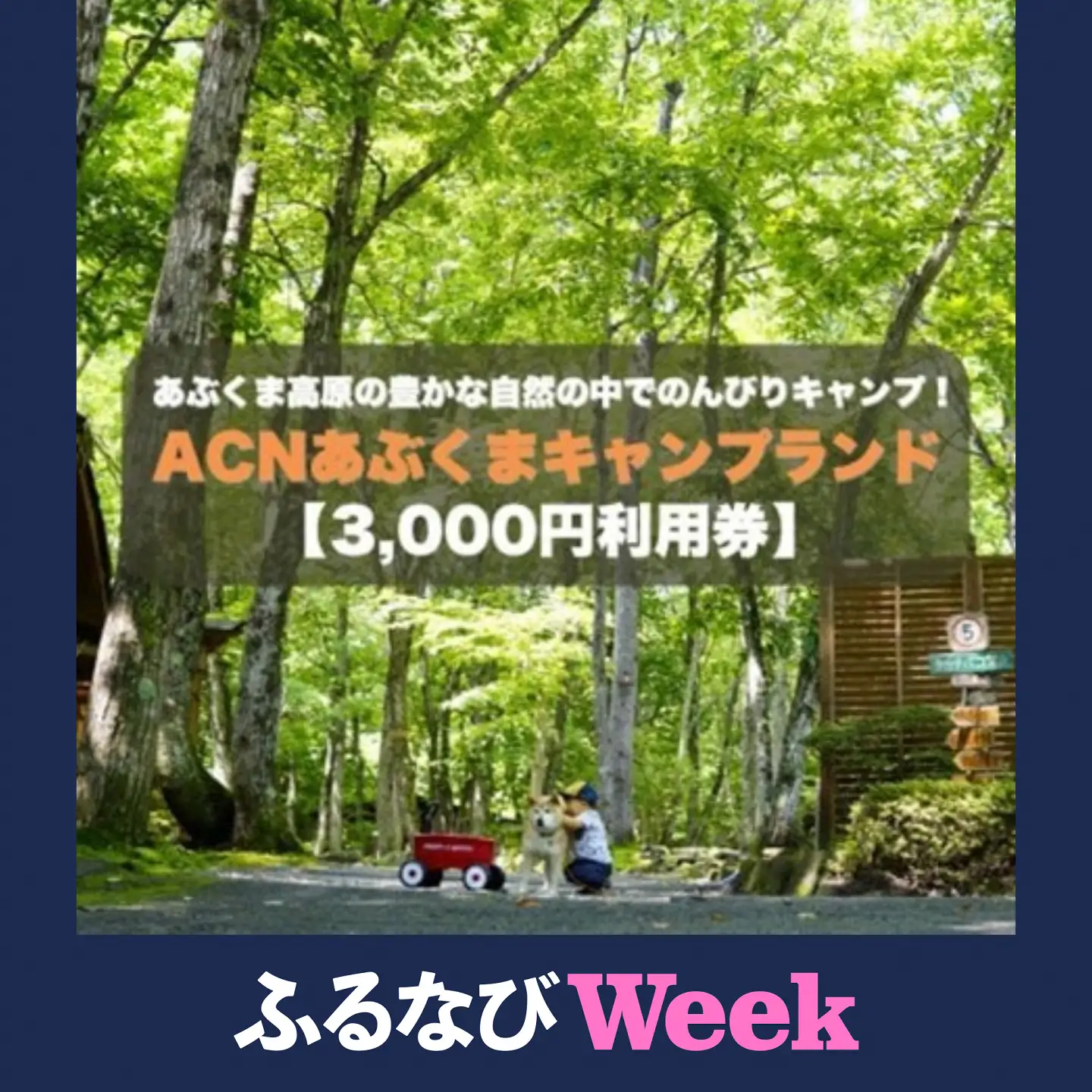 【ふるなびWEEK対象】【応援キャンプ!】福島県オートキャンプ場　あぶくまキャンプランド　宿泊利用券(3,000円分)【1627515】