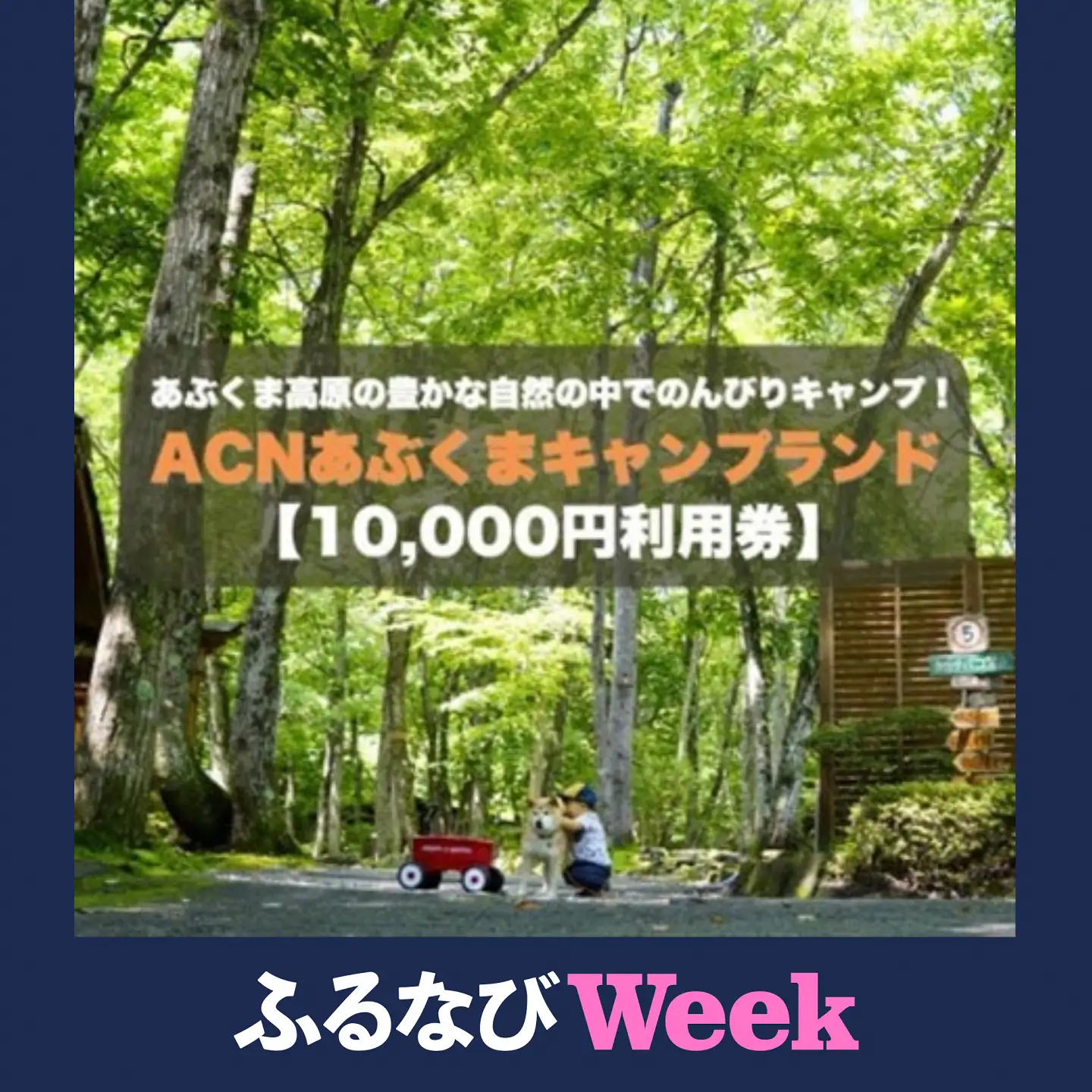 【ふるなびWEEK対象】【応援キャンプ!】福島県オートキャンプ場　あぶくまキャンプランド　宿泊利用券(10,000円分)【1627519】