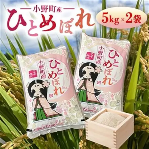 【数量限定・訳あり】令和7年産福島県小野町産ひとめぼれ10kg(5kg×2袋)福島県の美味しいお米【1629174】