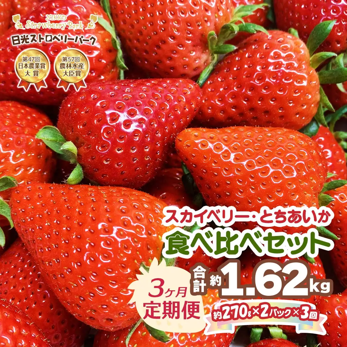 [先行予約][定期便／3ヶ月] 計1620g プレミアム『スカイベリー』＆『とちあいか』 大粒から中粒のみ厳選 約270g×2P 計3回 日光ストロベリーパークの人気2品種 [1032]