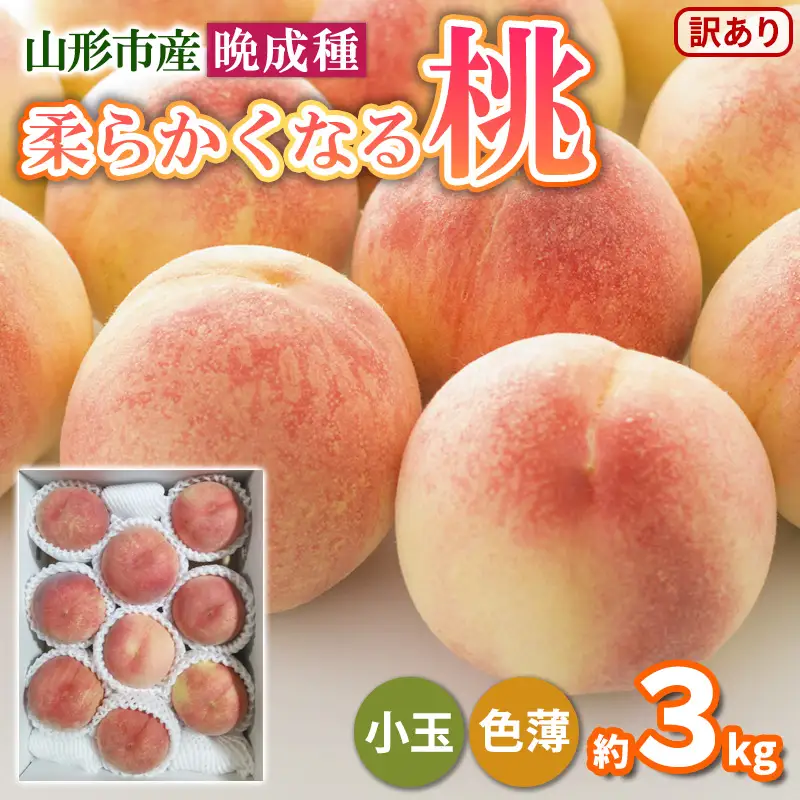 柔らかくなる桃 晩成種 約3kg (7～12玉) 小玉 色薄 訳あり[伊達白桃 さくら白桃 白根白桃]FY25-297