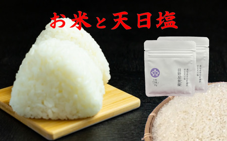 早期予約 米 令和6年産 ヒノヒカリ 天日塩 塩 おにぎり セット 詰め合わせ 夏バテ 防止 国産 人気 オススメ ランキング 贈答用 贈り物 プレゼント  ふるさと納税お米 ふるさとお米 高知県 安田町 TR-20