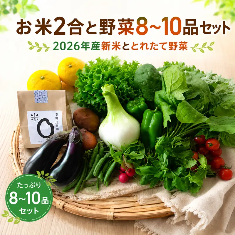 お米2合 野菜8～10品目セット 野菜 詰め合わせ MR-01