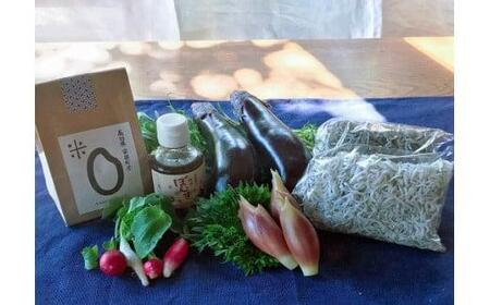 しらすご飯セット お米 しらす 薬味ポン酢付 しらす ご飯 セット 米 2合 ヒノヒカリ 薬味 ぽん酢 かちり 新鮮 野菜 加工品 美味しい 簡単 絶品 レシピ 柚子ぽん酢 ふるさと納税米 高知 安田町 MR-02