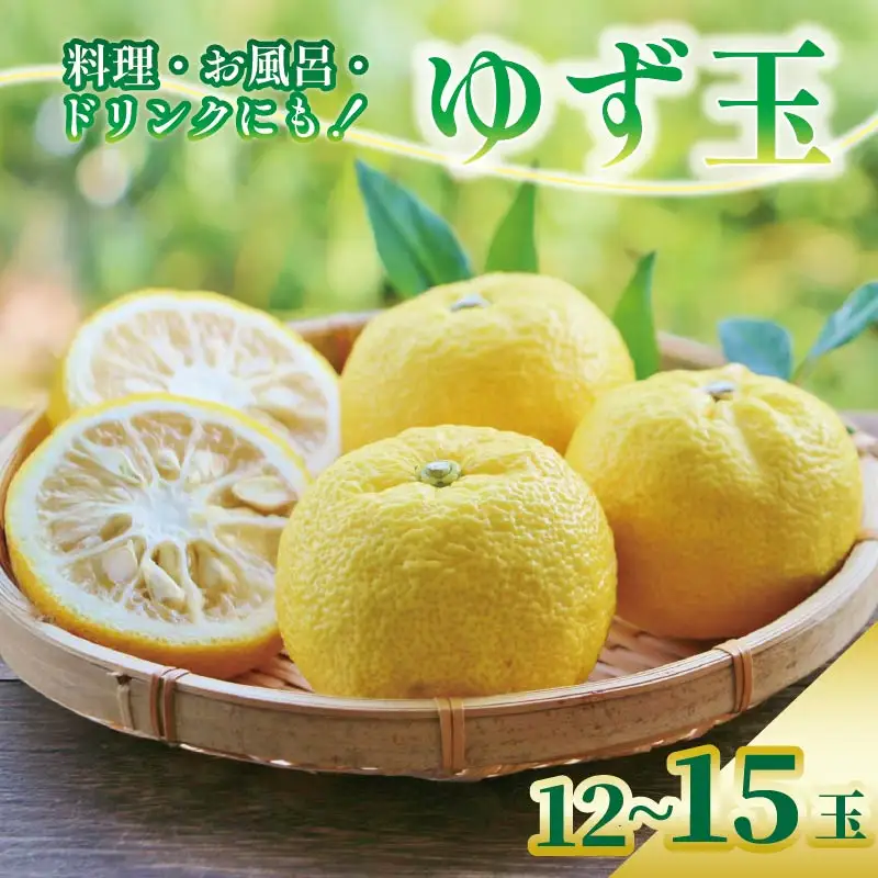【先行受付】ゆず 万能 ゆず玉 高知県 安田町 |  TR-26