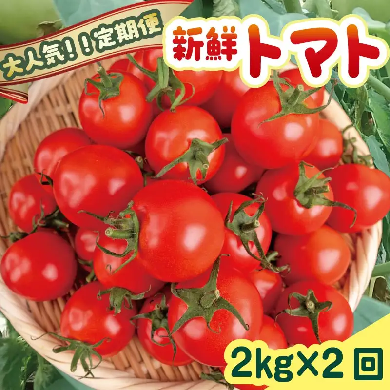 先行受付 安田町産 新鮮トマト 2kg 定期便 2回 TR-23