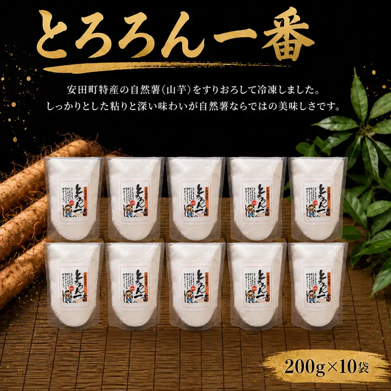 自然薯とろろん1番 10袋 とろろ 冷凍 小分け 自然薯 すりおろし JN-03