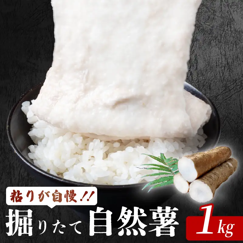 安田町産 自然薯1kg 自然薯 高知 安田町 JN-04