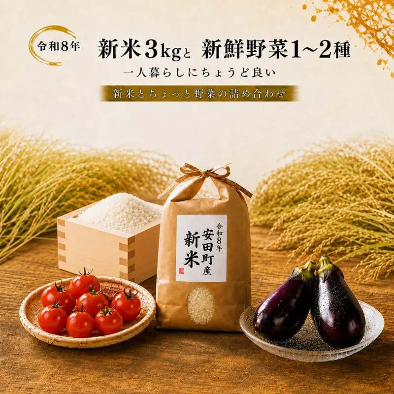 新米 3kg 野菜セット 令和8年度産 TR-01