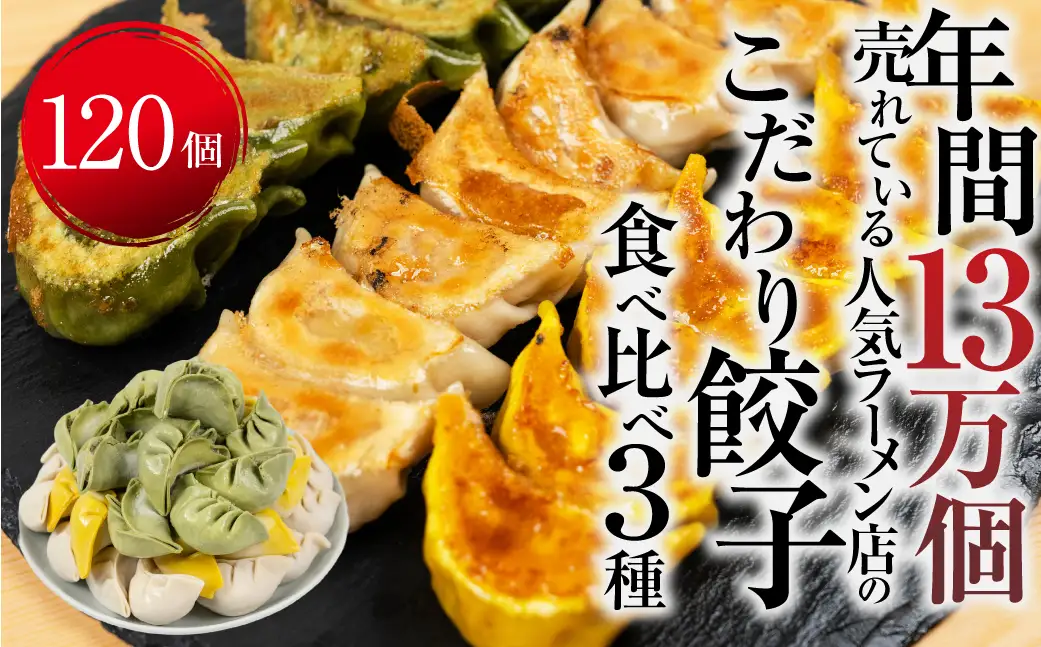 ぎふ夢 餃子 ミックス120個 人気 餃子 3種を詰め合わせ！ [mt2215] 