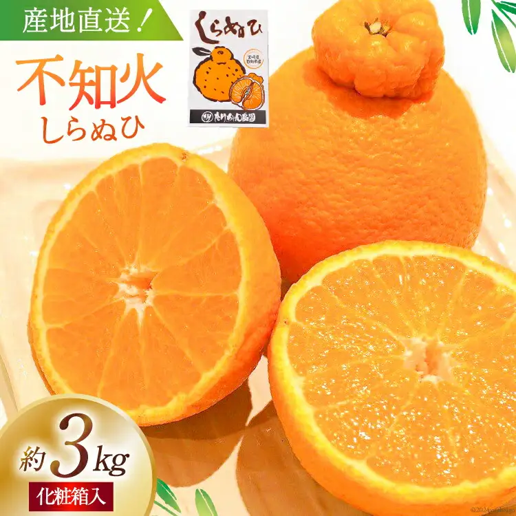 【期間限定発送】じゅわーっと甘い 不知火 約3kg（ハウス栽培・化粧箱入り）