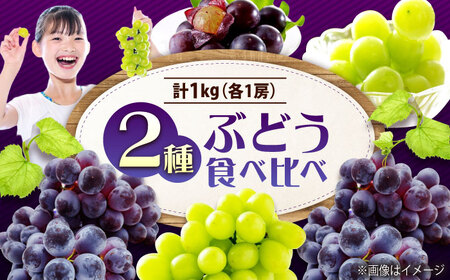 先行予約 【2026年9月中旬9月下旬発送】 ぶどう食べ比べセット（ニューベリーA・シャインマスカット） 計1kg [BAGF002]ぶどう