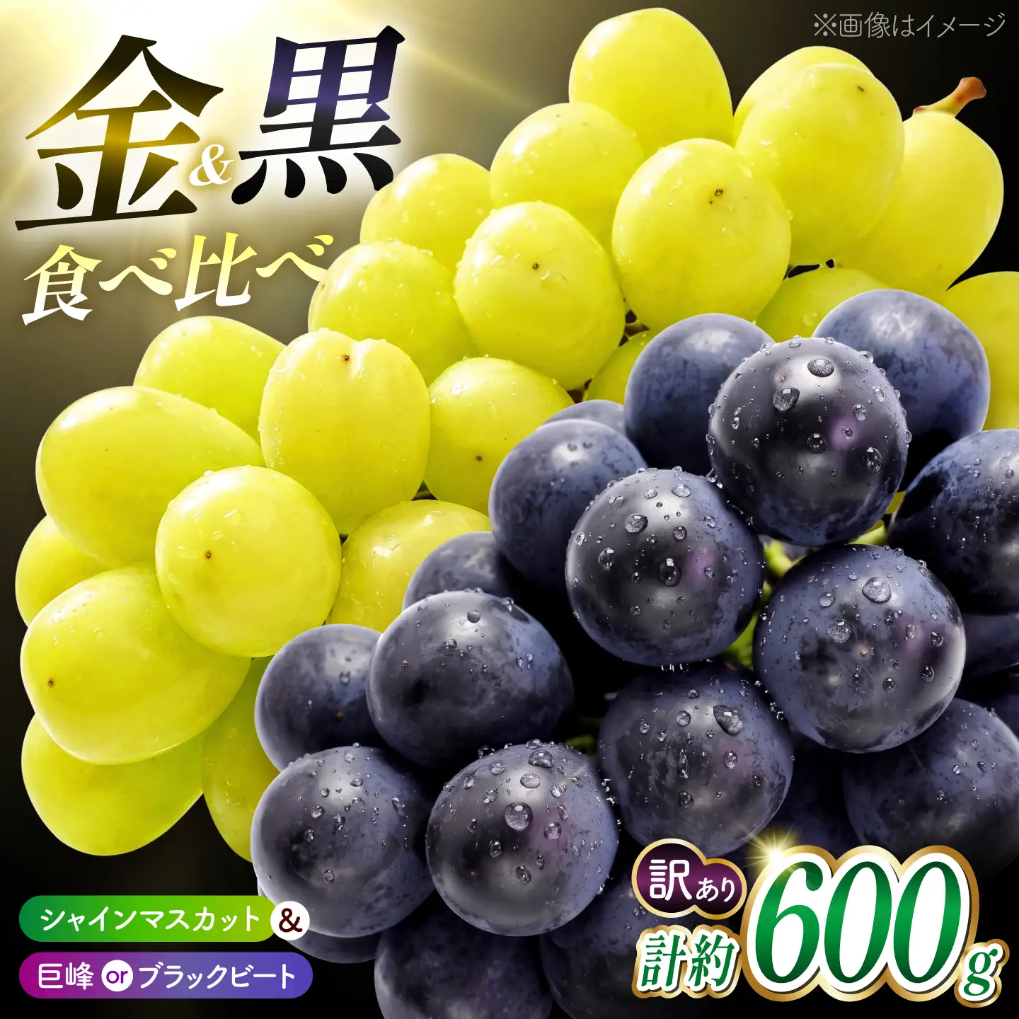 先行予約 訳あり種なしぶどう2種食べ比べ計約600g(シャインマスカット&巨峰orブラックビート)ぶどうシャインマスカットZFO004