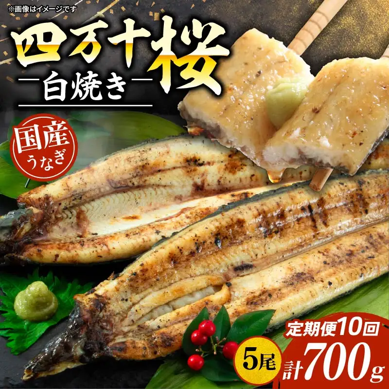【通常用】【10回定期便】極上国産うなぎ四万十桜 白焼き約140g×5尾 うなぎ
