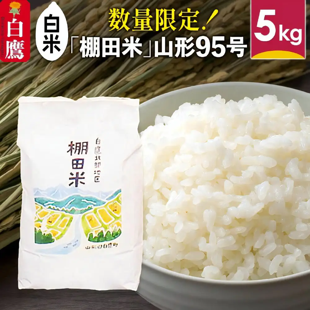 【白米】山形県産 棚田米 白鷹ほまれ 5kg 山形95号 令和7年産 米 お米 精米 コメ おこめ ごはん ご飯 白米 5キロ 【2025年10月下旬順次出荷予定】