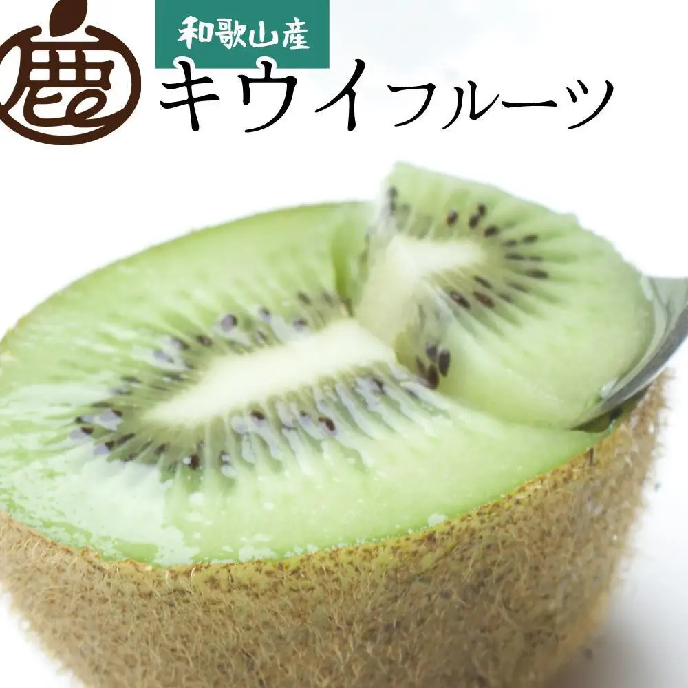 ［先行予約］厳選 キウイ1kg+250g（傷み補償分） 扁平果 ［IKE106］