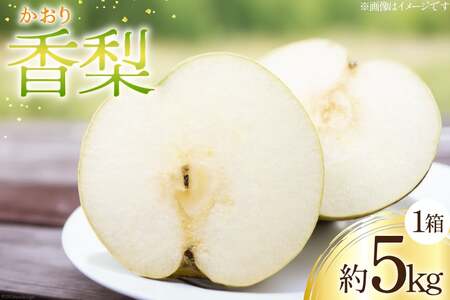 梨 香梨 １箱 約 5kg