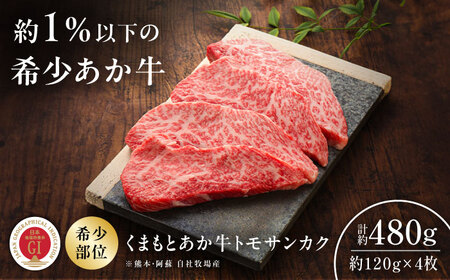GI認証 くまもとあか牛トモサンカク 約120g×4枚 ステーキ BHAS016 ステーキ