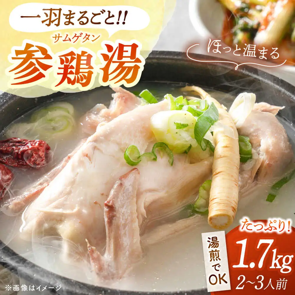 参鶏湯（サムゲタン）1羽分 [ADAE002] 大容量 おいしい 人気 鍋