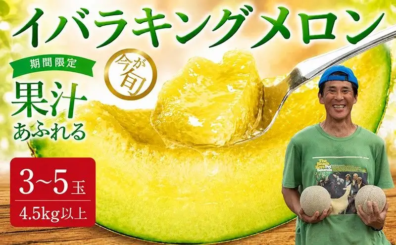 【2027年発送】イバラキングメロン（青肉） 3?5玉入 青肉品種 鉾田メロン！ ／ イバラキング 果物 フルーツ ギフト 農家直送 kbn009_X1