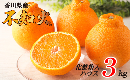 先行予約 不知火 約3kg ハウス 化粧箱 フルーツ 果物 不知火 みかん みかん 【goshiki036】