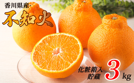 先行予約 不知火 約3kg 貯蔵 化粧箱 フルーツ 果物 不知火 みかん みかん 【goshiki037】