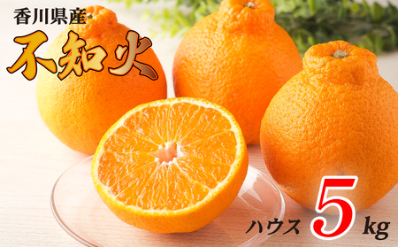 先行予約 不知火 約5kg ハウス 常温 フルーツ 果物 不知火 みかん みかん 【goshiki038】