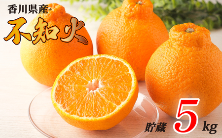 先行予約 不知火 約5kg 貯蔵 不知火 フルーツ 果物 みかん みかん【goshiki039】