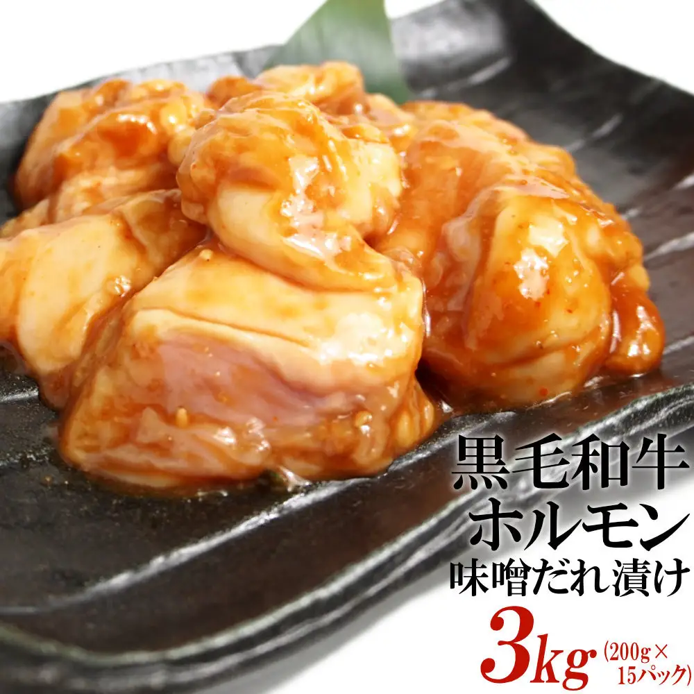 黒毛和牛ホルモン味噌だれ漬け3kg（200g×15）